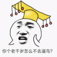 你个老干岁怎么不去遛鸟？