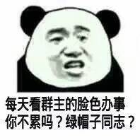 每天看群主的险色办事你不累吗？绿帽子同志？