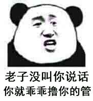 老子没叫你说话，你就乖乖撸你的管