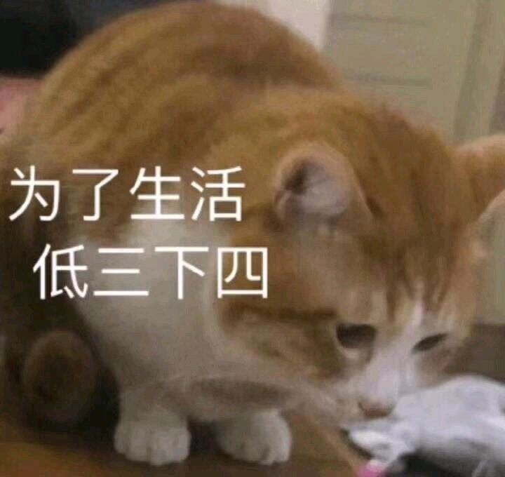 为了生活低三下四