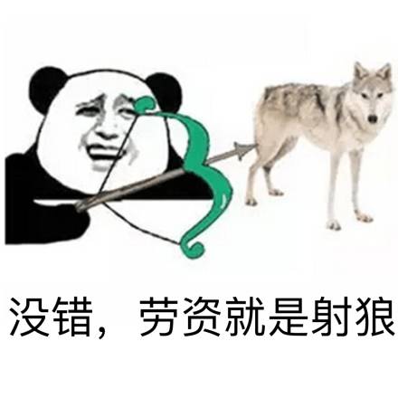 没错，劳资就是射狼