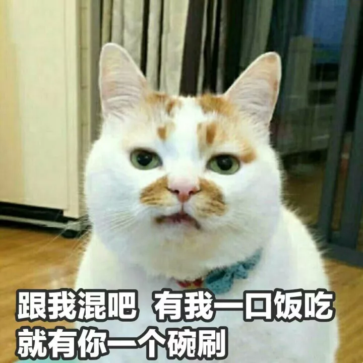 跟我混吧