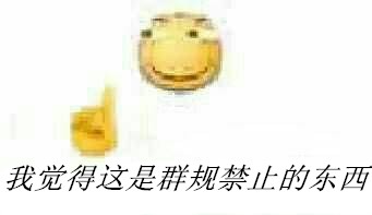 我觉得这是群规禁止的东西