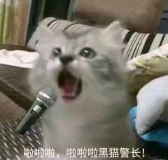 啦啦啦，啦啦啦黑猫警长！