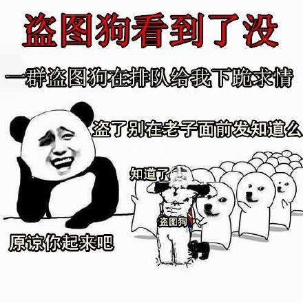 盗图狗看到了没有