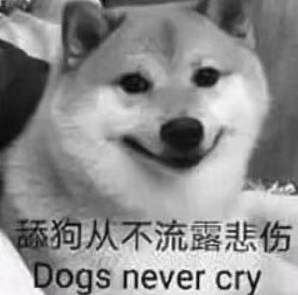 添狗从不流露悲伤，Dogs never cry