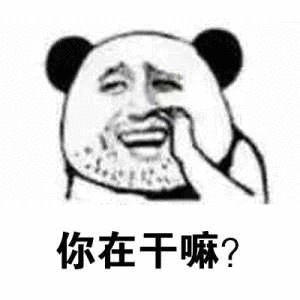 你在干嘛？