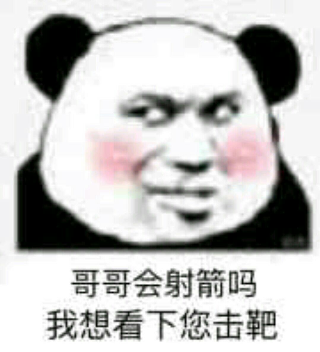 哥哥会射箭吗？我想看下您击靶