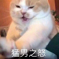 猛男之怒