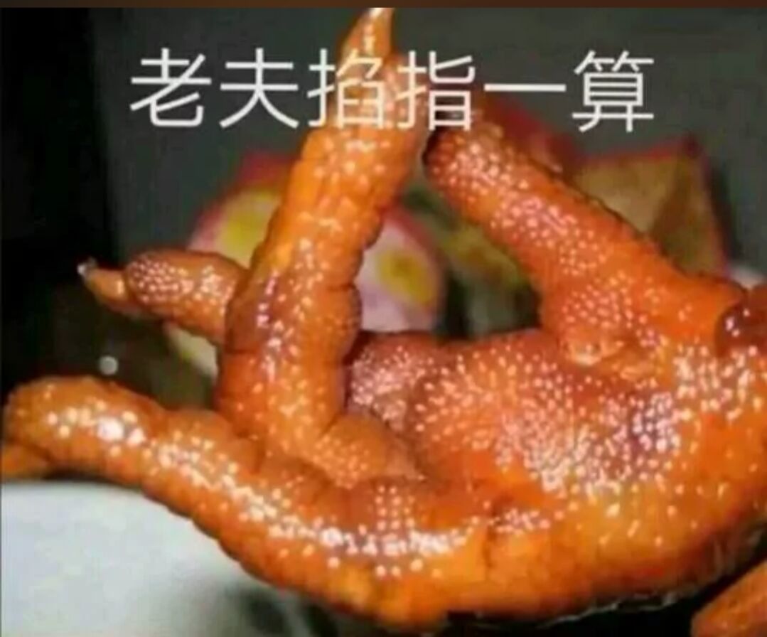 老夫掐指一算