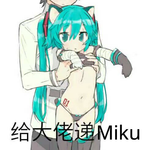 给大佬递Miku