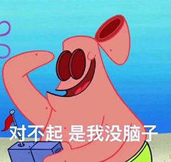 对不起是我没脑子