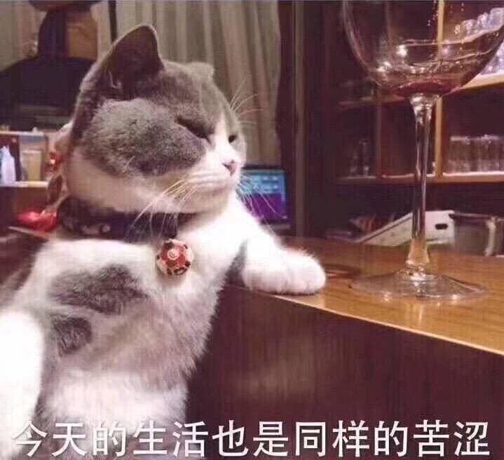 今天的活也是同样的苦涩