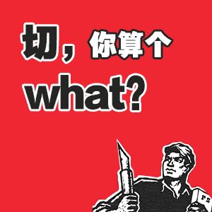 切，你算个what？