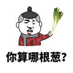 你算哪根葱？