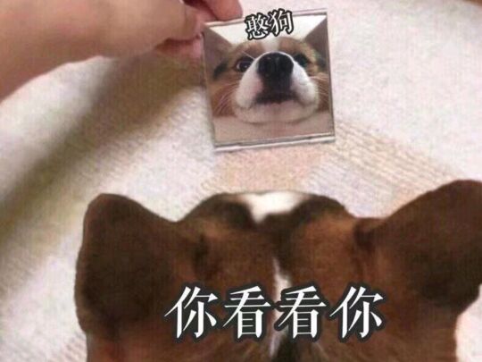 你看看你