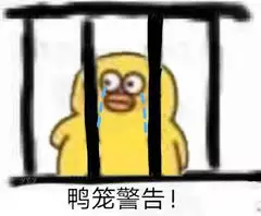 鸭笼警告！