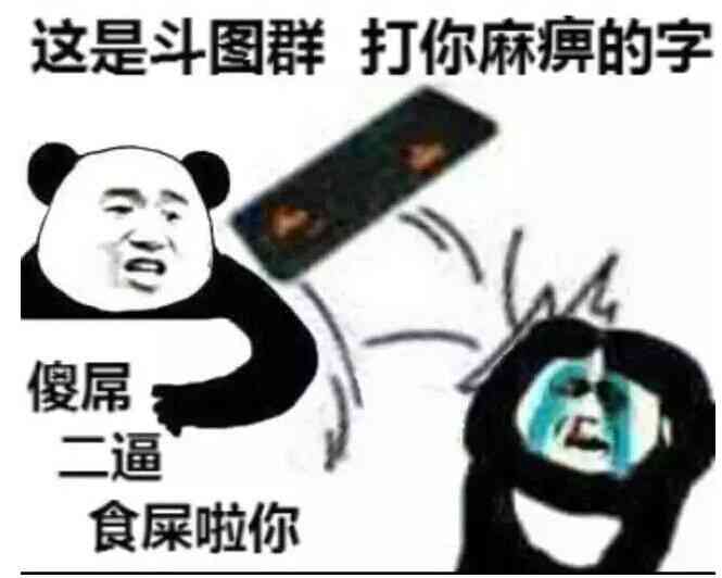 这是斗图群，打你麻痹的字