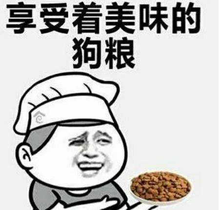 享受着美味的狗粮