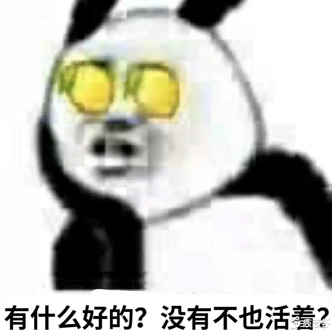 有什么好的？没有不也活着？