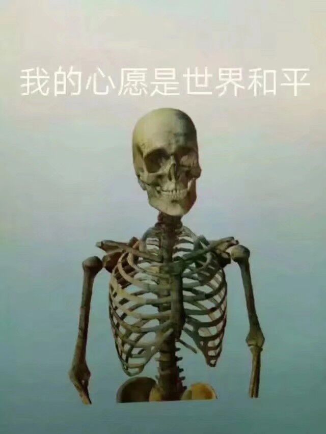 我的心愿是世界和平