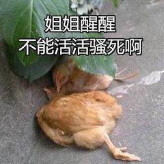 姐姐醒醒，不能活活骚死啊