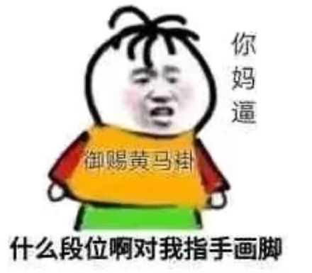 什么段位啊，对我指手画脚的