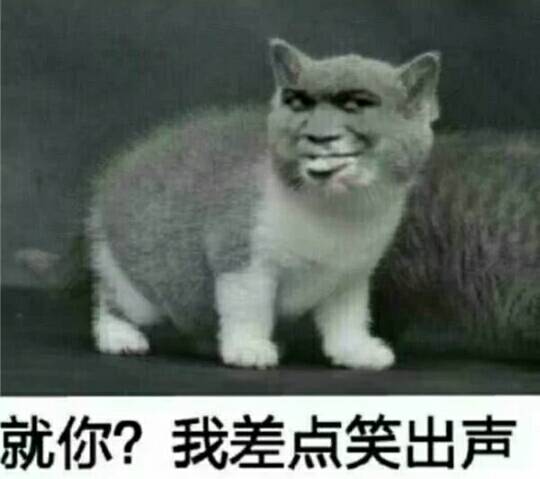 就你？我差点笑出声