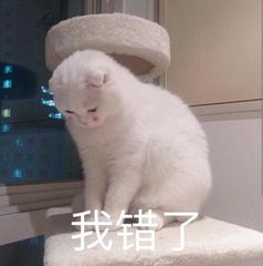 我错了