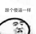 跟个傻逼一样