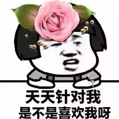 天天针对我，是不是喜欢我呀