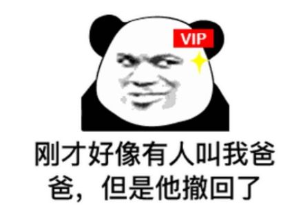 VIP用户，刚才好像有人叫我爸爸，但是他撤回了