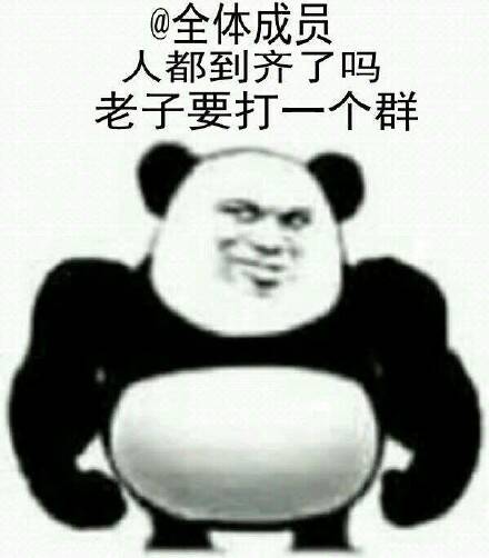 @全体成员，人都到齐了吗？老子要打一个群