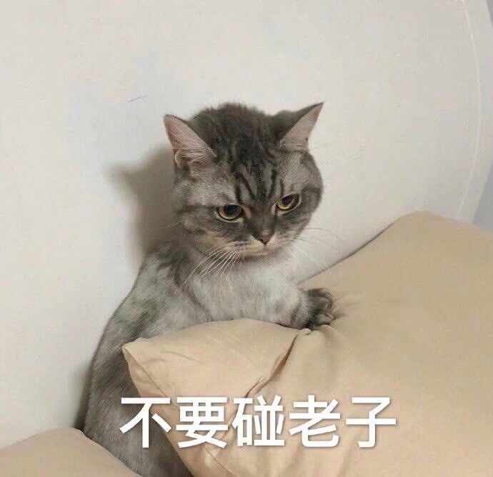 不要碰老子
