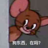 狗东西，在吗？