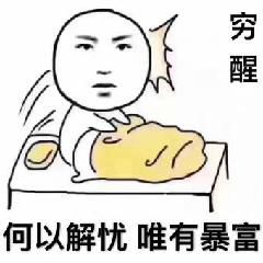 穷醒，何以解忧唯有暴富