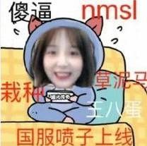 傻逼nmsl