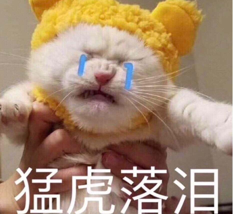 猛虎落泪