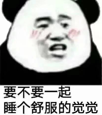 要不要一起睡个舒服的觉觉