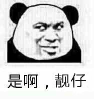 是啊，靓仔