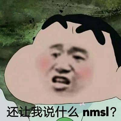 还让我说什么nmsl？