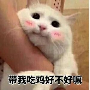 带我吃鸡好不好嘛