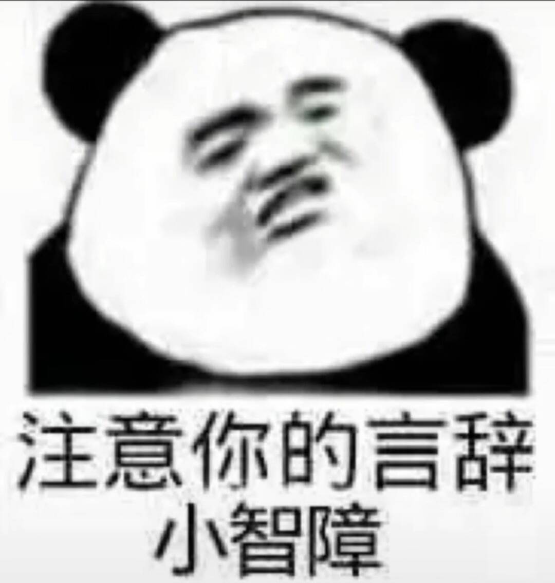 注意你的言辞小智障