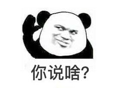 你说啥？