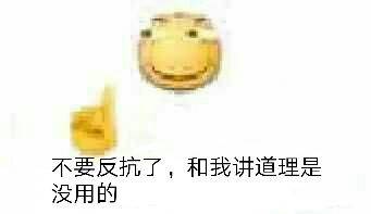 不要反抗了，和我讲道理是没用的