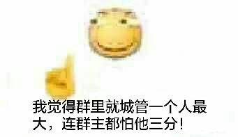我觉得群里就城管一个人最大，连群主都怕他三分！