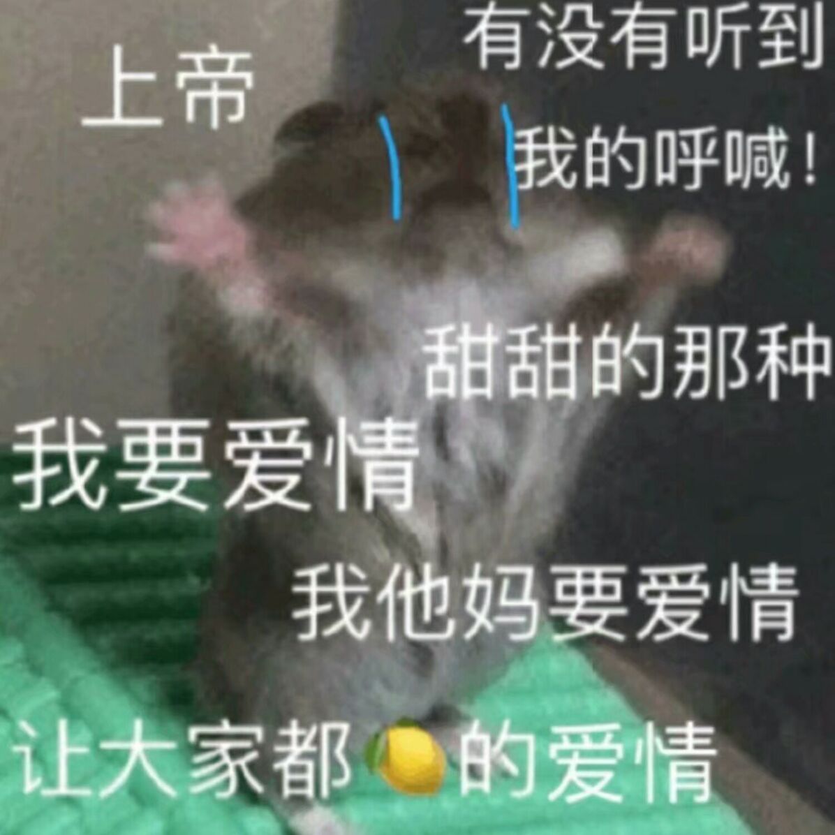 上帝，我要爱情，我他妈要爱情