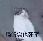 猫听完也死了