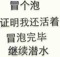 冒个泡证明我还活着，冒泡完毕继续潜水