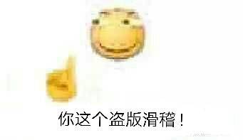 你这个盗版滑稽！